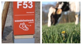 wandelroutenetwerk