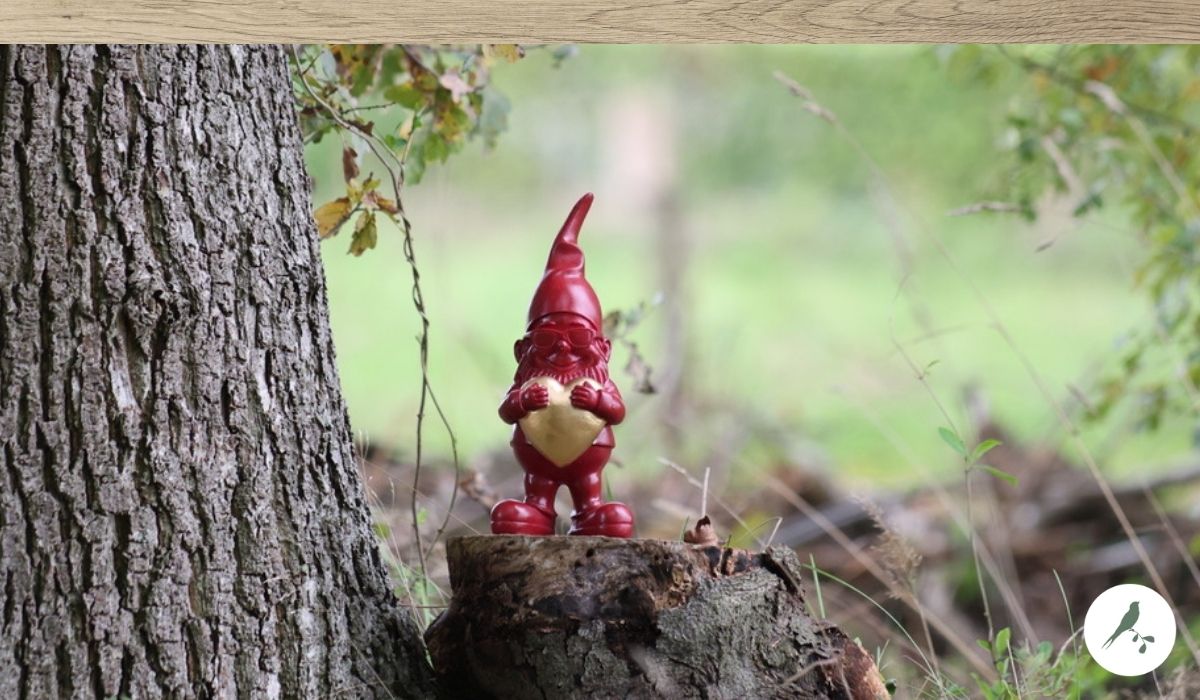 Kabouterpad bij de Kleine WIldenberg