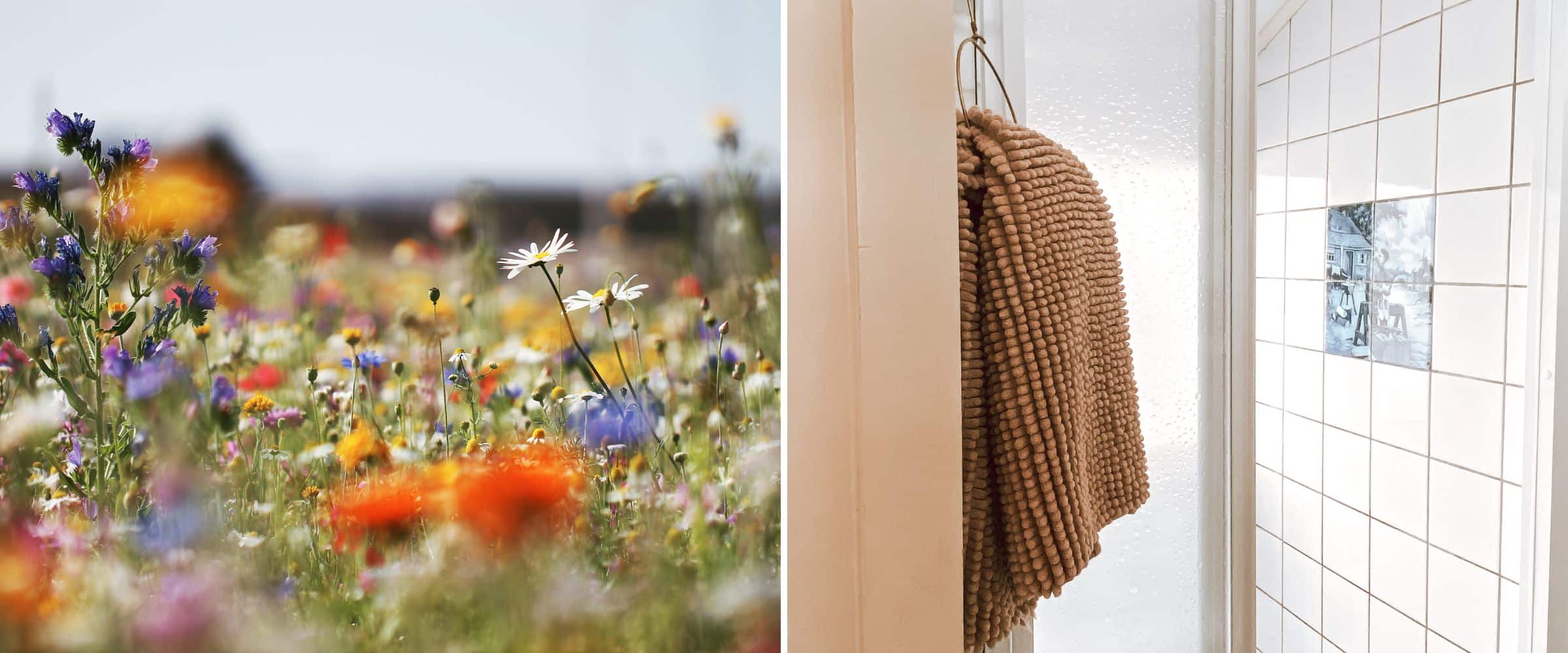 Boerderij de Kleine Wildenberg - natuurlijke inrichting bloemen Pipowagen - Tiny house - Diepenveen Deventer