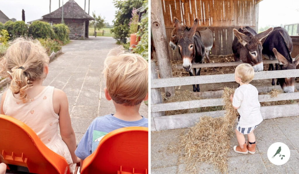 skelters en dieren bij de kleine wildenberg vakantie 