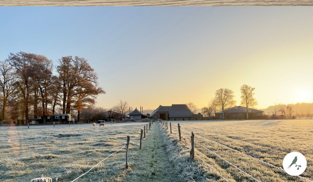 Boerderij De Kleine Wildenberg - Wintervakantie In Nederland - Uitjes In Deventer Winter - Gezin Kids