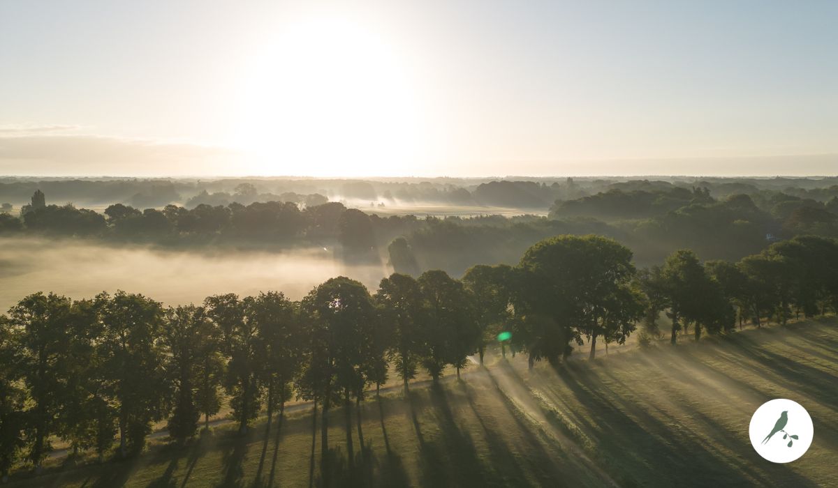 Uitzicht - luchtfoto Sallandse landschap - de Kleine Wildenberg