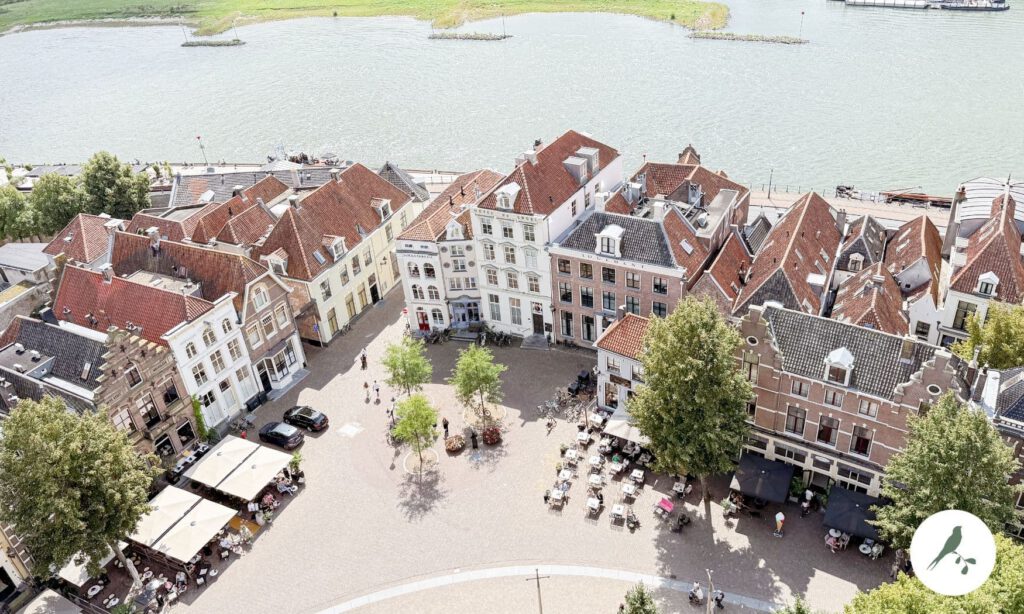 Uitzicht plein Grote Kerkhof Lebuïnustoren Deventer