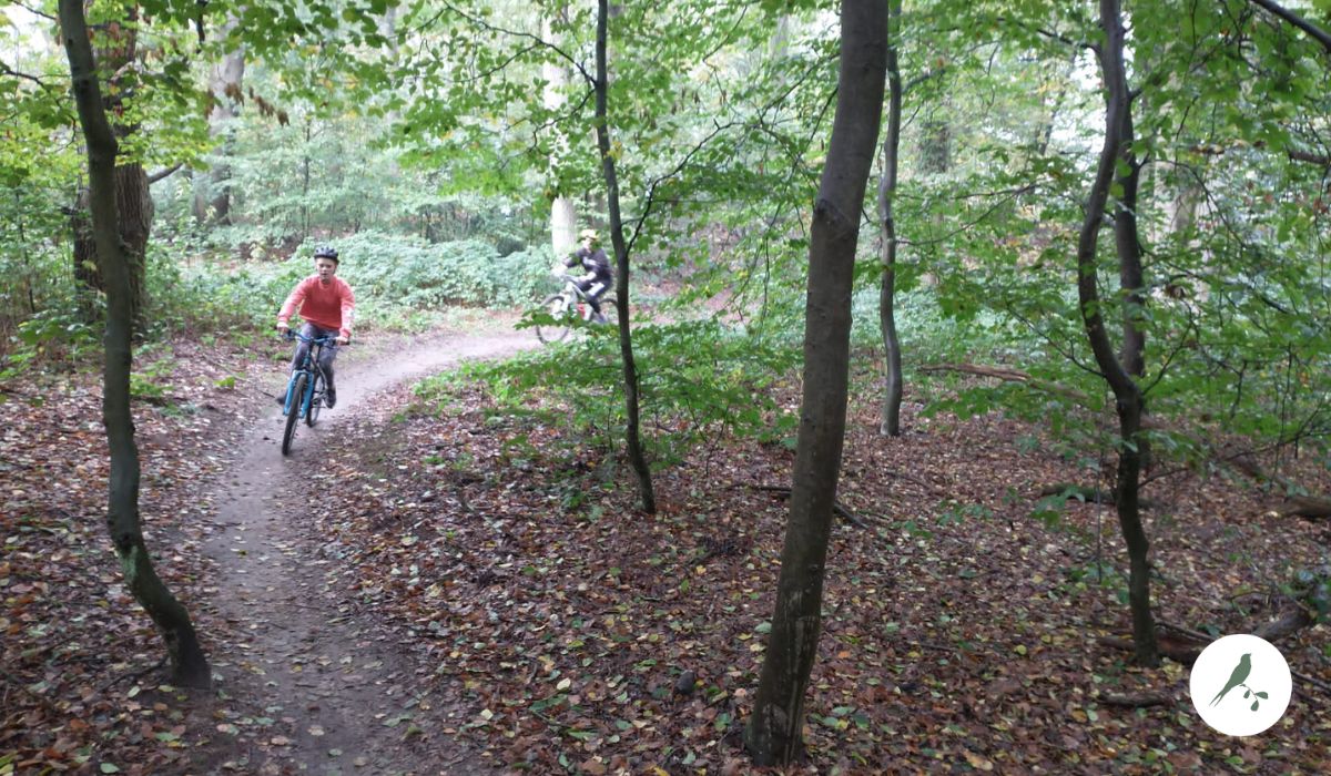 Mountainbiker in landgoed Rande, dichtbij de Kleine Wildenberg