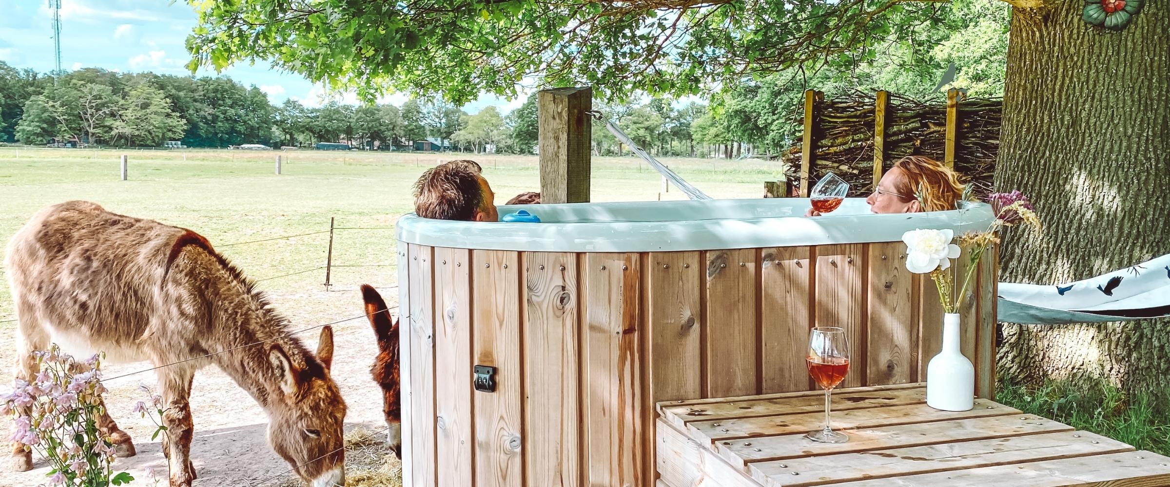 4Boerderij de Kleine Wildenberg - hottub natuur uitzicht weilanden Pipowagen - Tiny house - Diepenveen Deventer