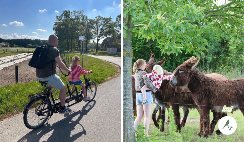 kleine wildenberg- gratis fietsen - boerderijvakantie 