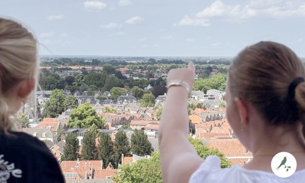 Uiticht Lebuïnustoren Deventer richting de Kleine Wildenberg