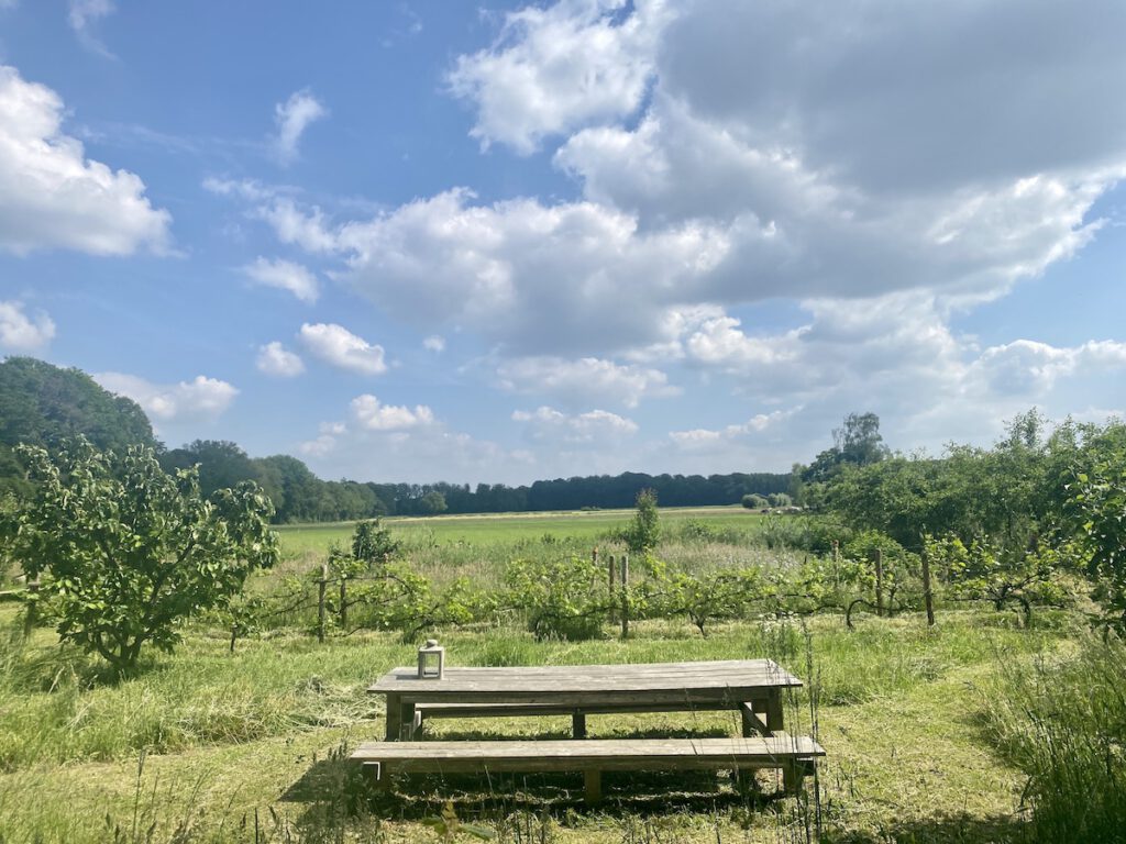 De Kleine Wildenberg - picknicken in de boomgaard - diepenveen deventer logeren bij de boer