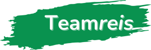 logo Teamreis