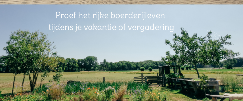 Zorg- & Recreatie Boerderij de kleine Wildenberg