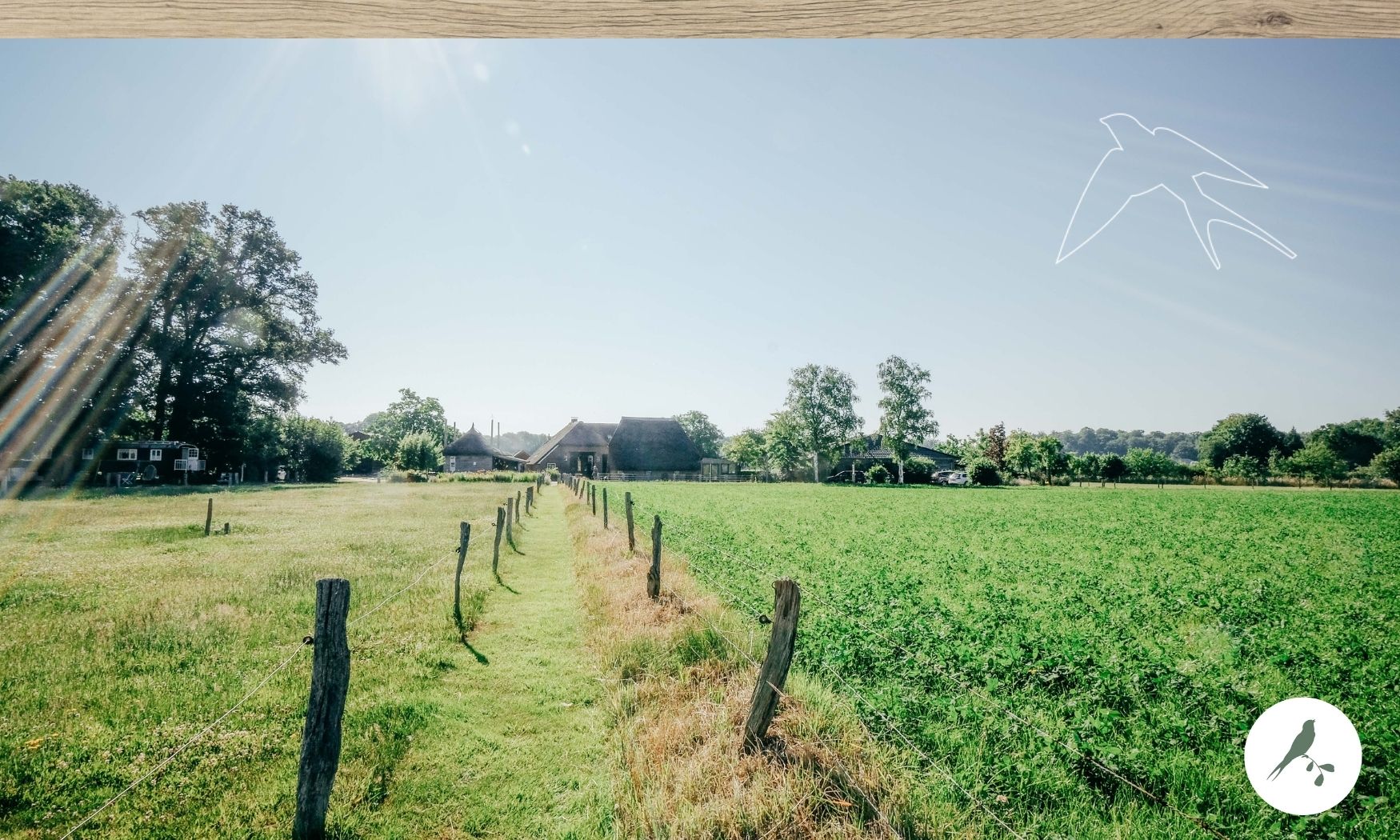 De Kleine Wildenberg -agritoerismo - Agritoerisme - Boerderijvakantie