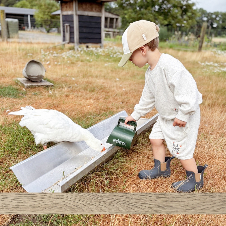 foto 900x900 hout kinderen helpen met het voeren van de dieren tijdens de boerderijvakantie bij de Kleine Wildenberg