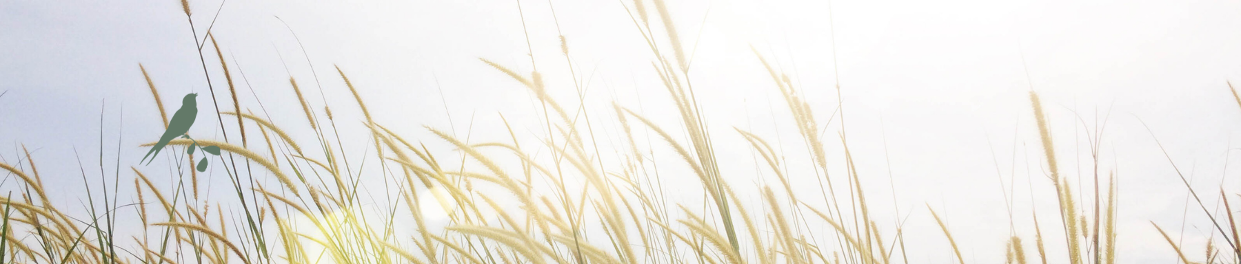 de Kleine Wildenberg-boerderij-boerderijvakantie-vakantie met kinderen-sfeervol overnachten-bijzonder plekje